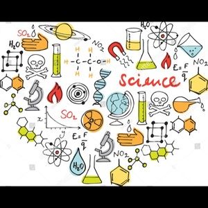 Meet your Posher, Marisol